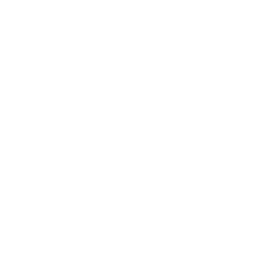 Solo Interactive Studios